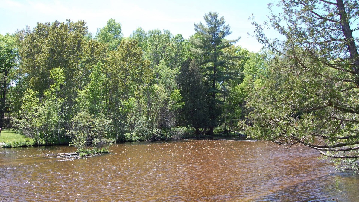 Ausable River - Beautiful Views - Bear Den
