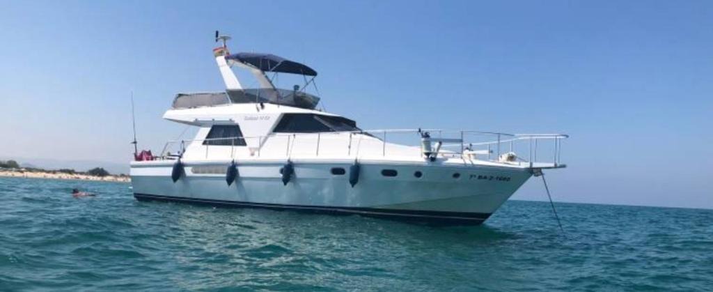 Beautiful Boat