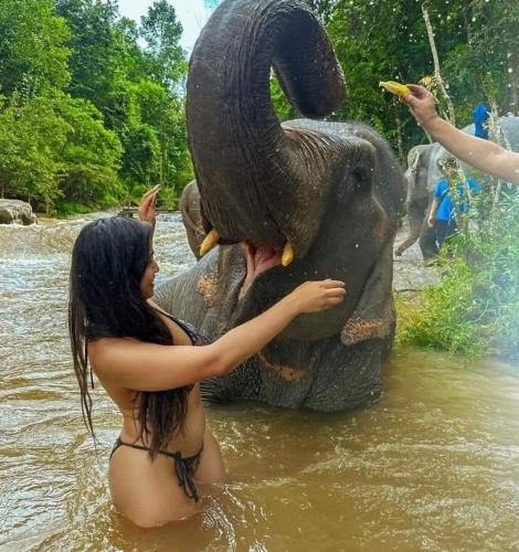 Best Safari House