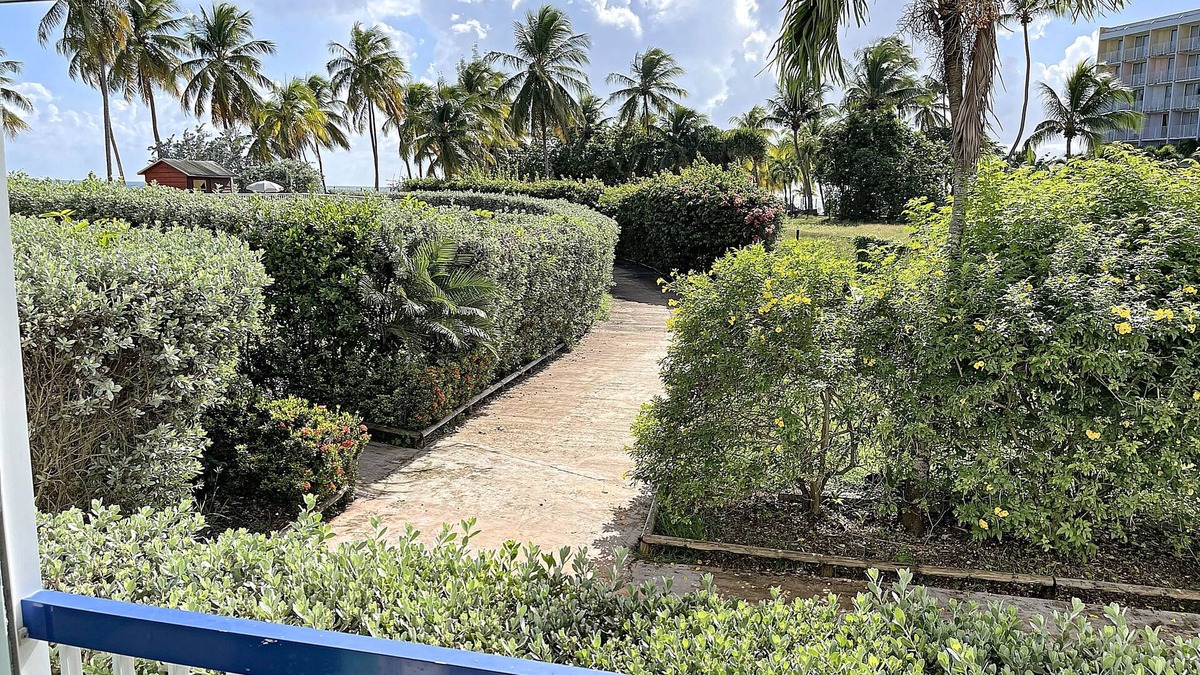 Blue paradise