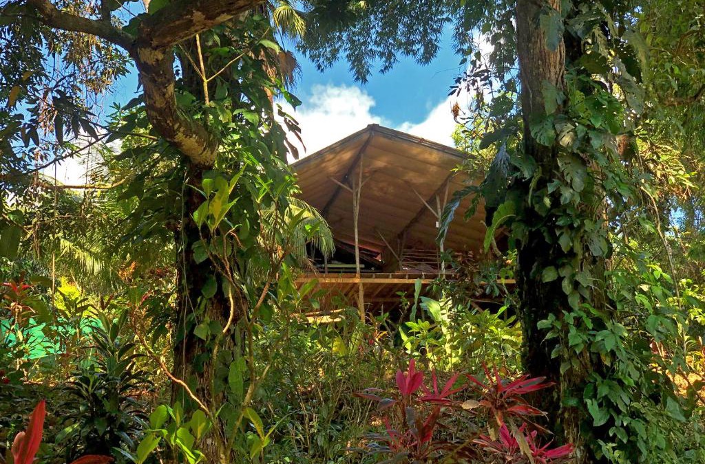Cascada Verde Eco Lodge & Hostel
