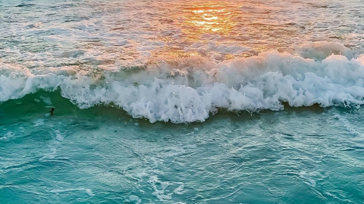 Crescent Arms Luxurious Beach Condo on Siesta Key 605 South with gulf view