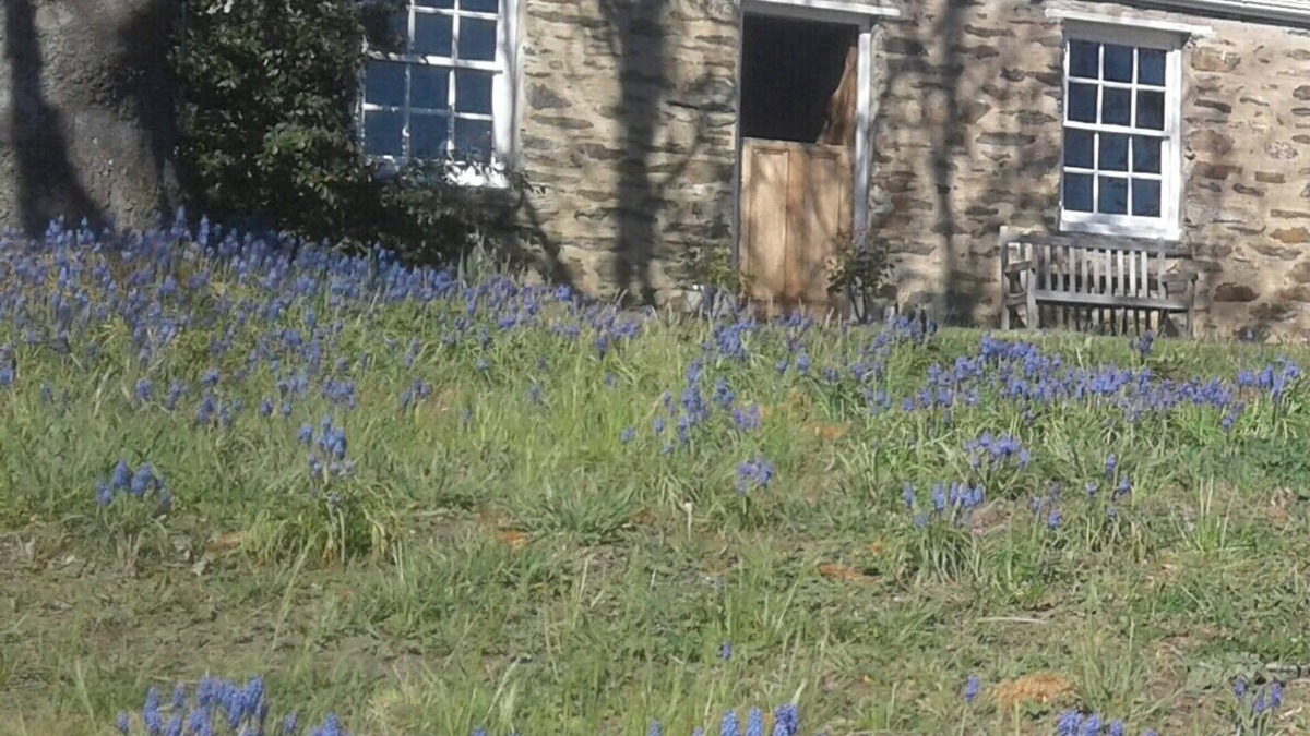 Historic stone cottage