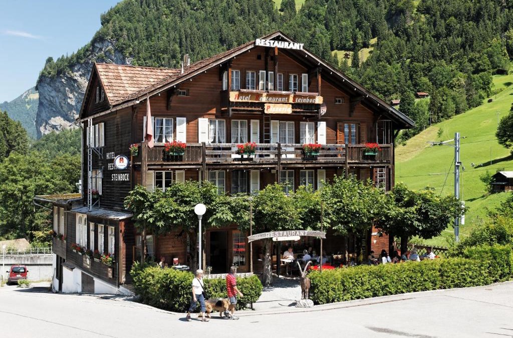 Hotel Steinbock