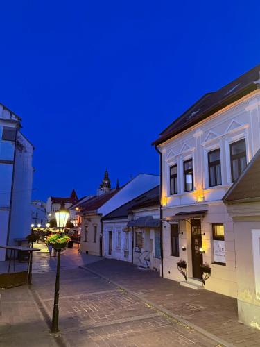 Hotel Zlaté Košice - Self reception