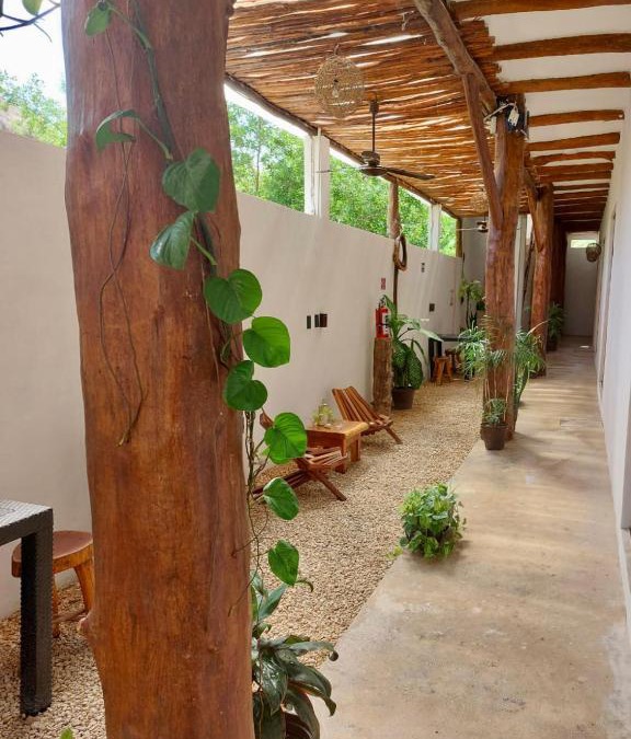 Kin studios holbox