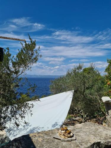 Koki eco house