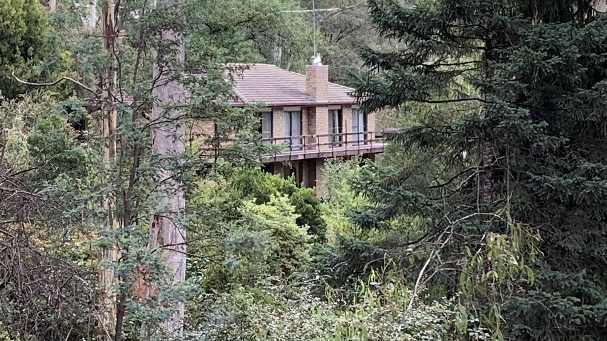 Pinnacle Park -3.5 Acres of beautiful forest