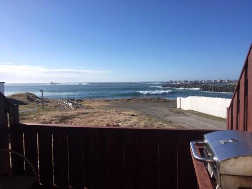 Robbins by the Sea