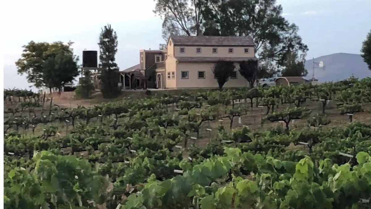 Temecula Wine Country Home on 5 Acre Vineyard