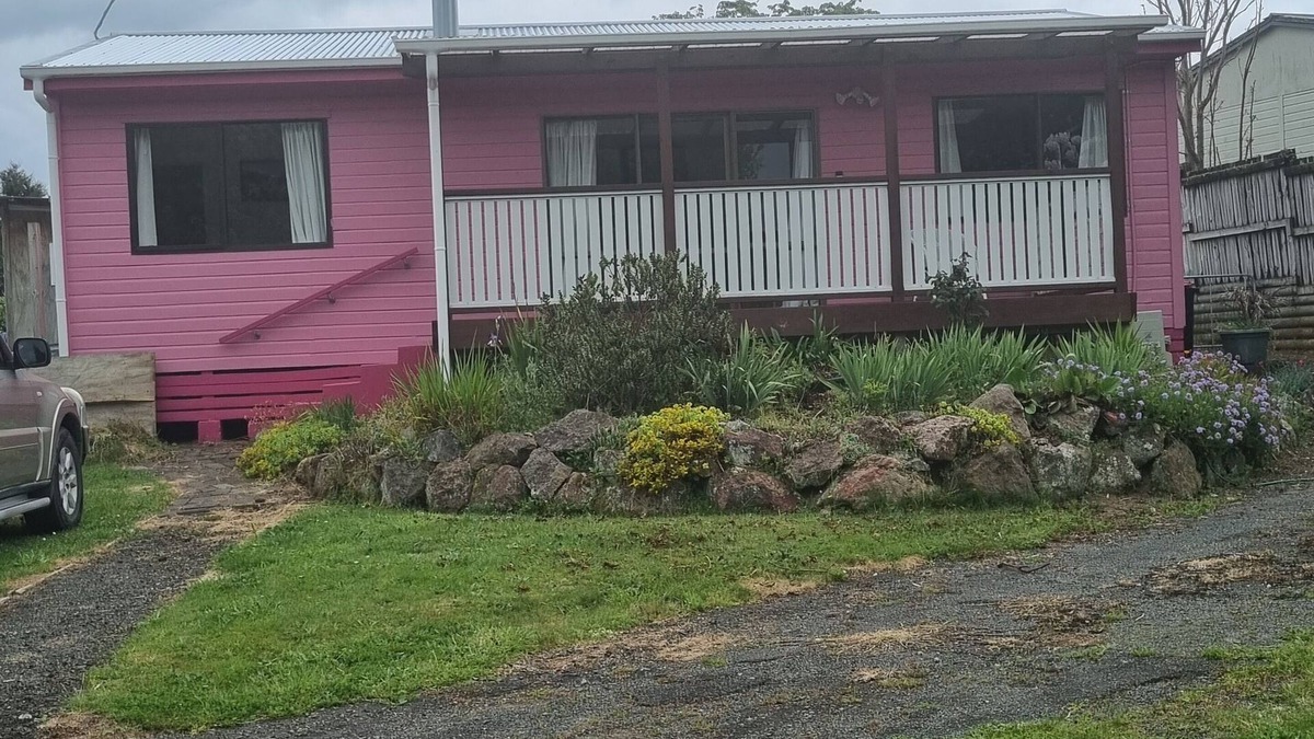 The Pink House