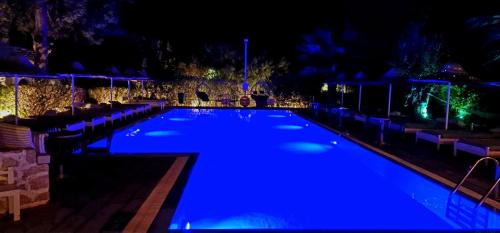 Trees Art Hotel Suites