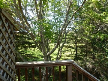 Manset Studio in Southwest Harbor