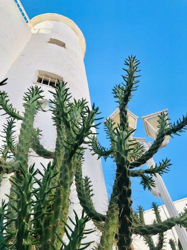 Villa Sa Torre