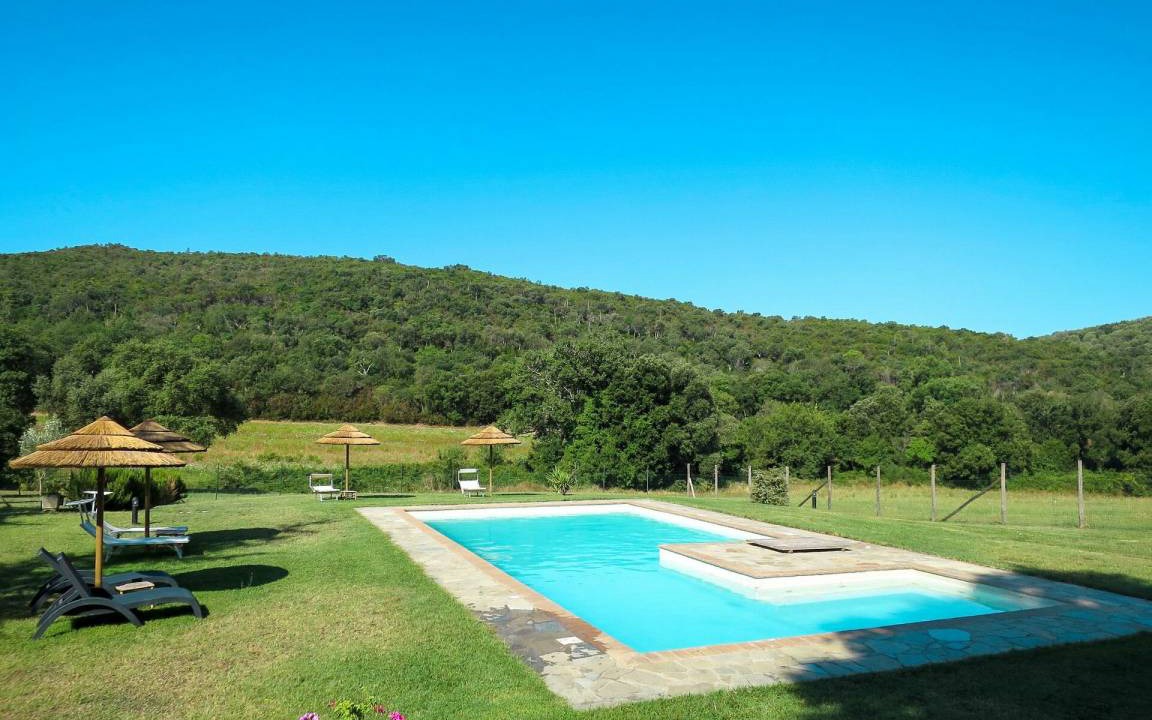 Sughera | Montorsaio