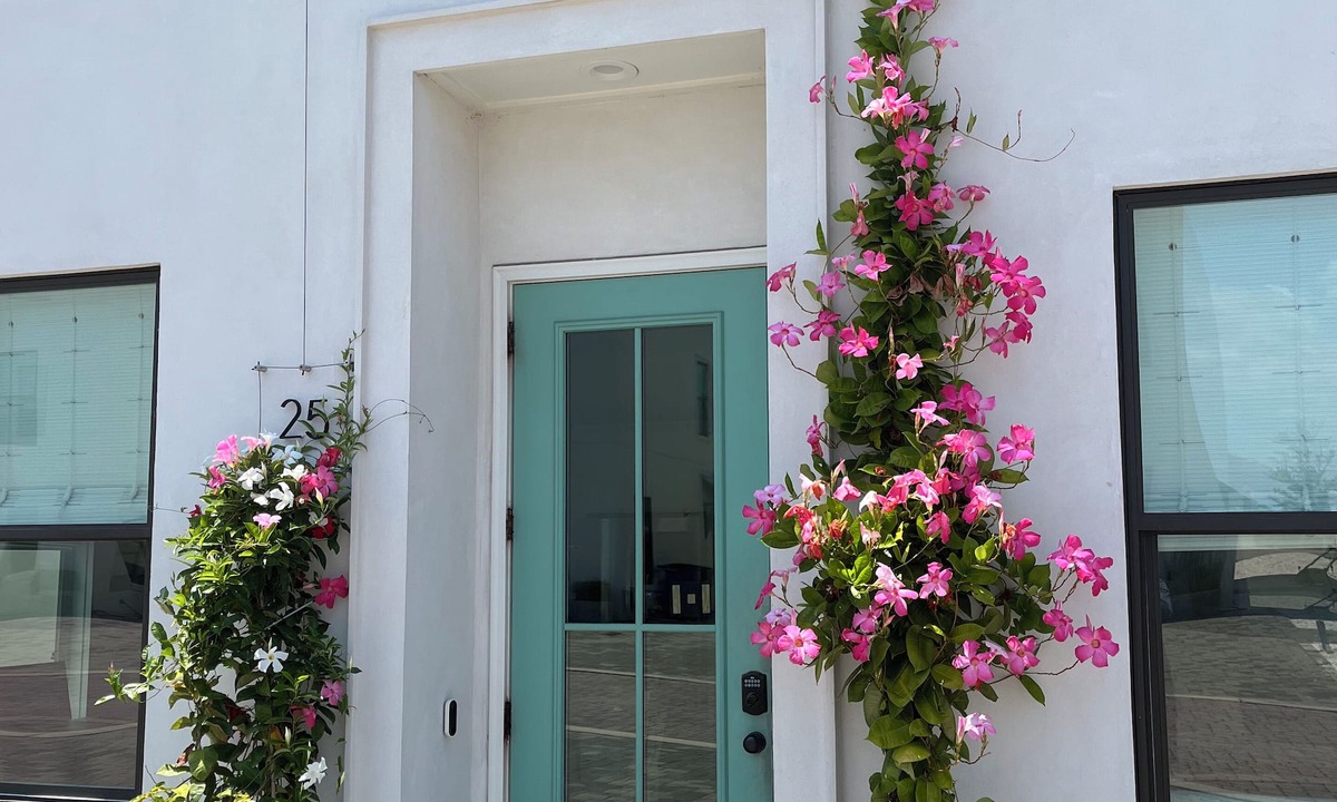 Grove At Inlet Spinnaker Beach | Inlet Beach