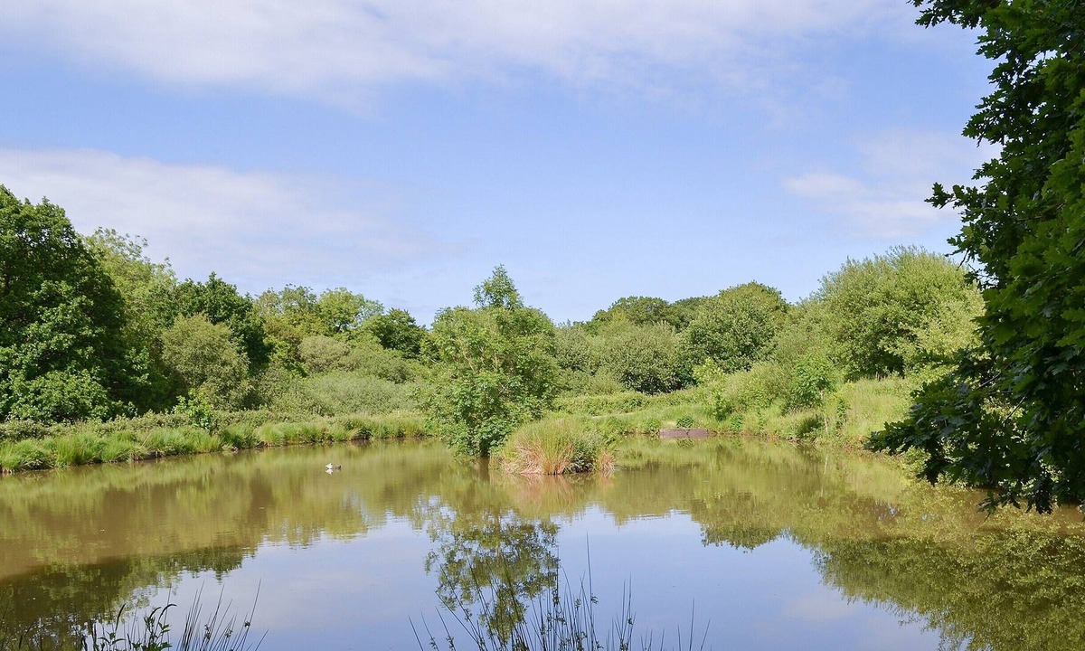 Accommodation Bridestowe Okehampton | Okehampton
