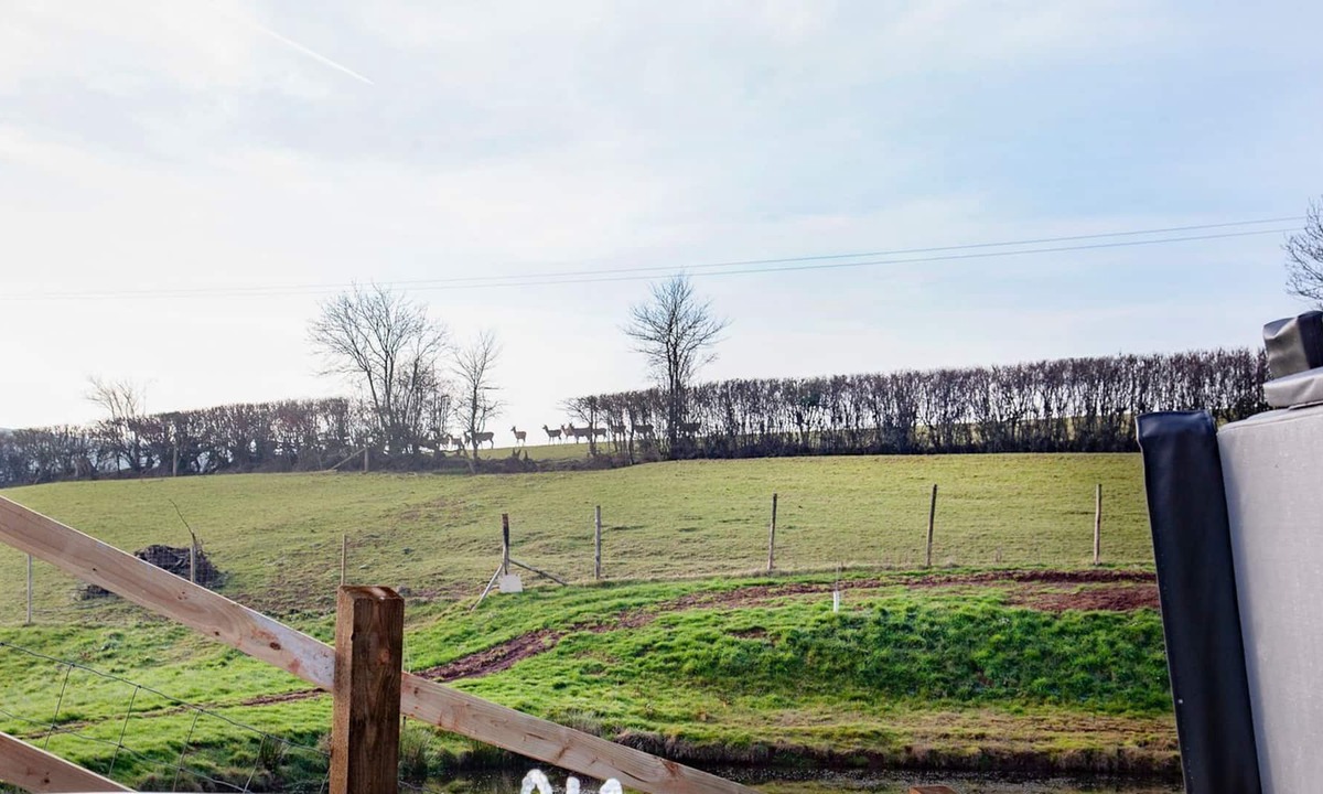 Accommodation Tiverton | Tiverton