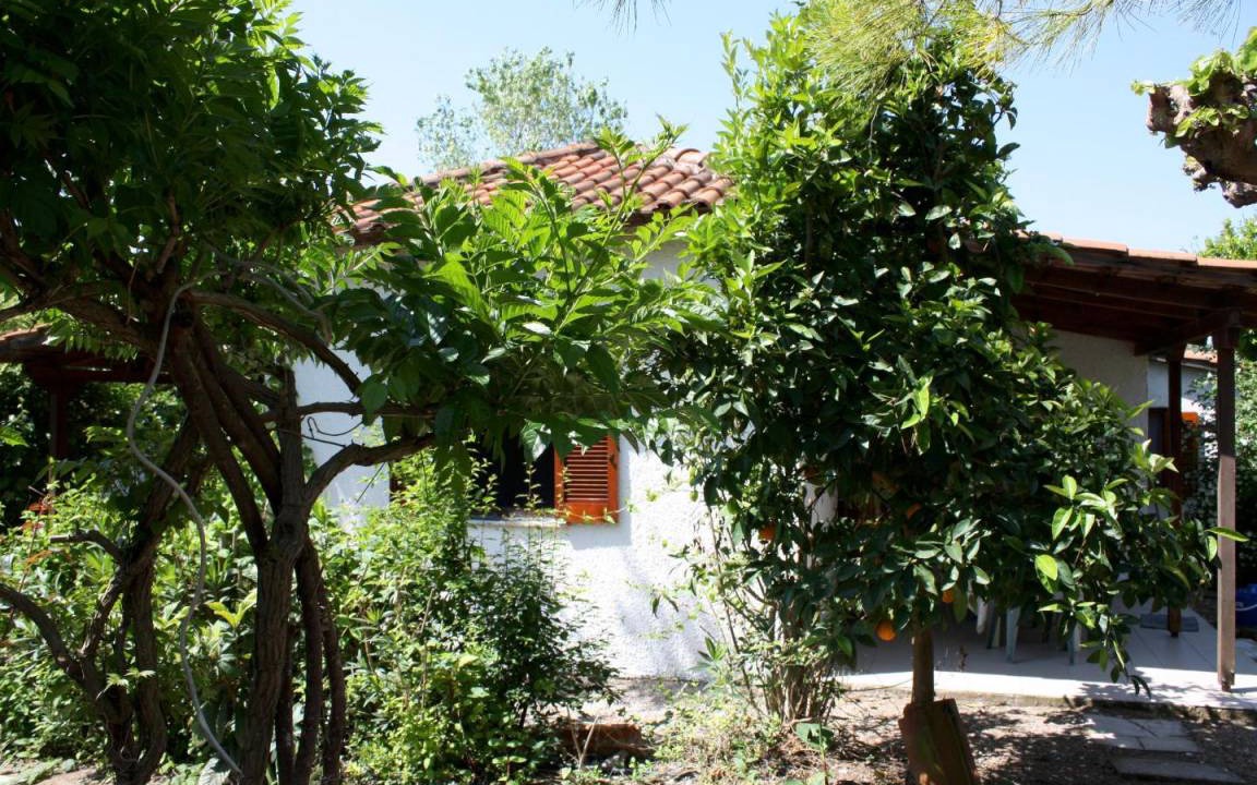 Calm Located Grove Close The Beach Holiday Ilia | Kakovatos
