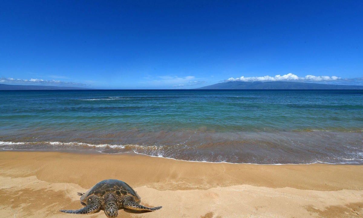 Royal Kahana Lahaina | Honokowai