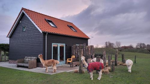 Aan Waterspiegel | Aagtekerke