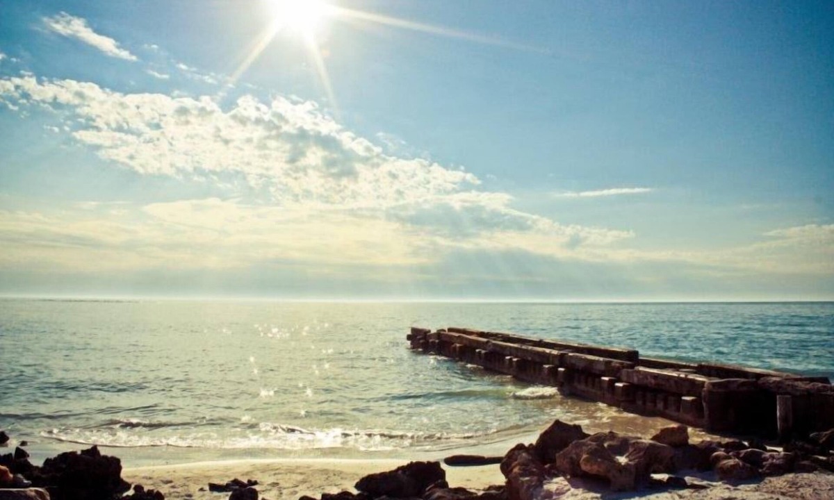 Beachcomber Longboat Key | Siesta Key