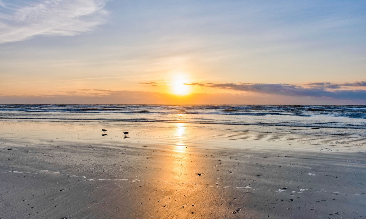 Serene Seashell | Port Aransas