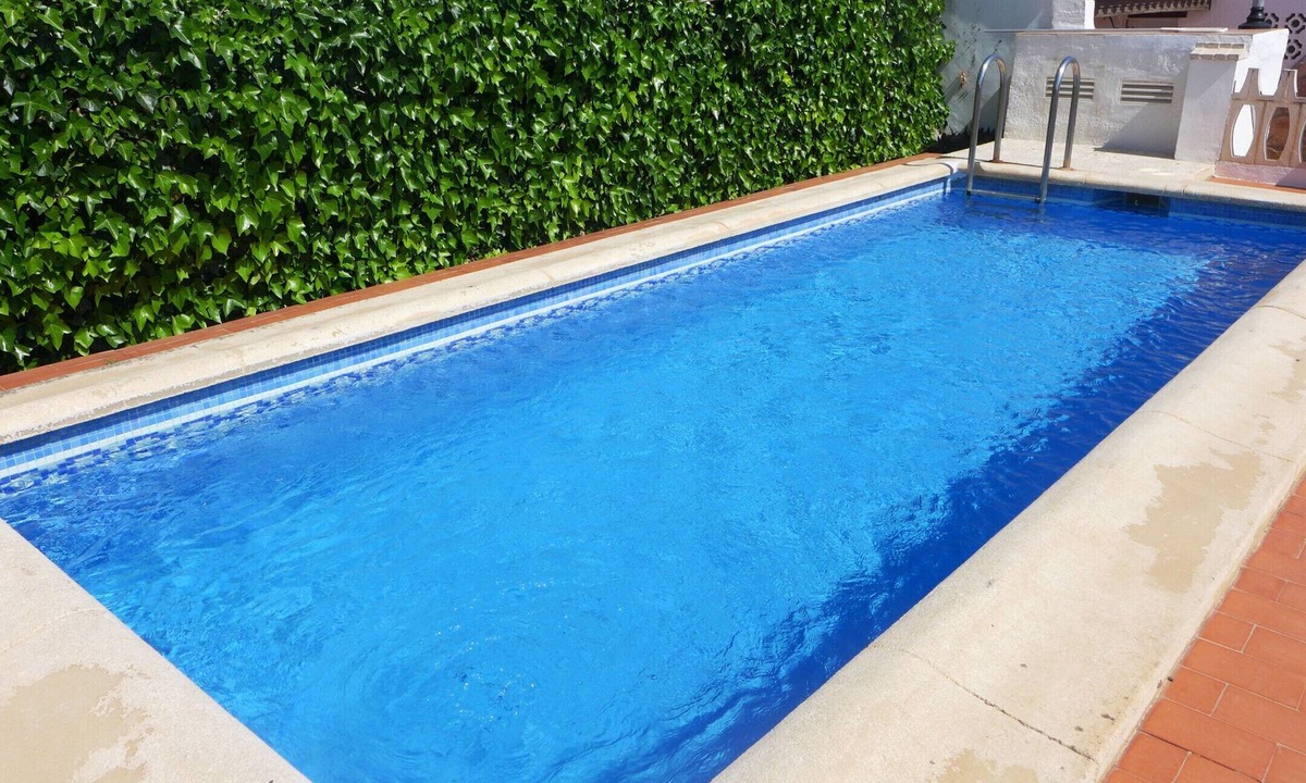 Burguera Terranova Oliva | Oliva