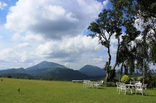 Ancoombra Tea Estate Bungalow | Ankumbura Pallegama