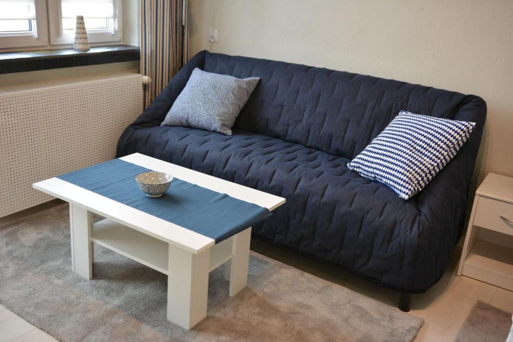 Apartament Meiselsa | Zator