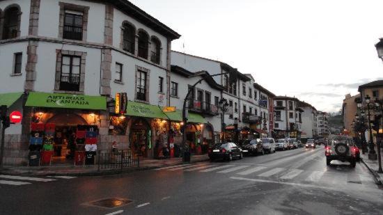Apartamento El Fondon | Cangas de Onis