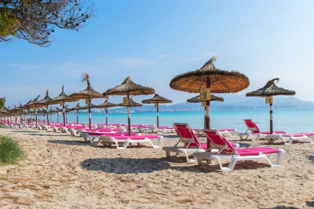 Apartamento Salzes | Alcudia