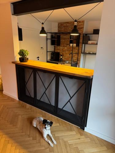 Apartament Latarnika | Jastrzebia Gora