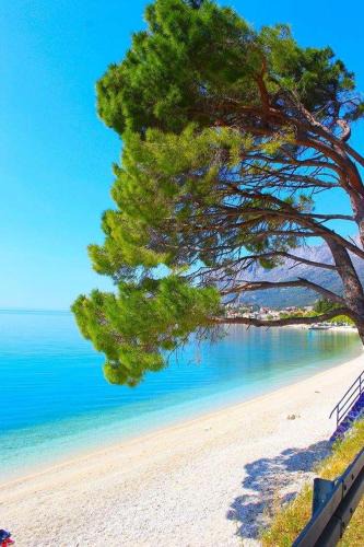 Apartmani Helena | Gradac