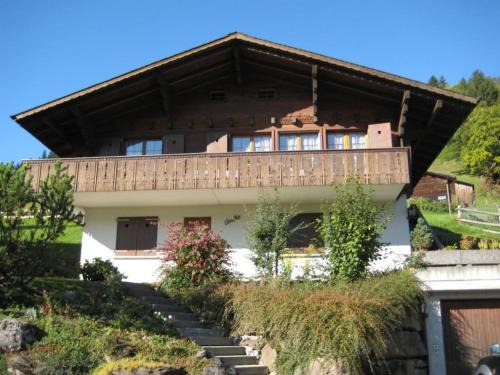 Arnika | Lenk
