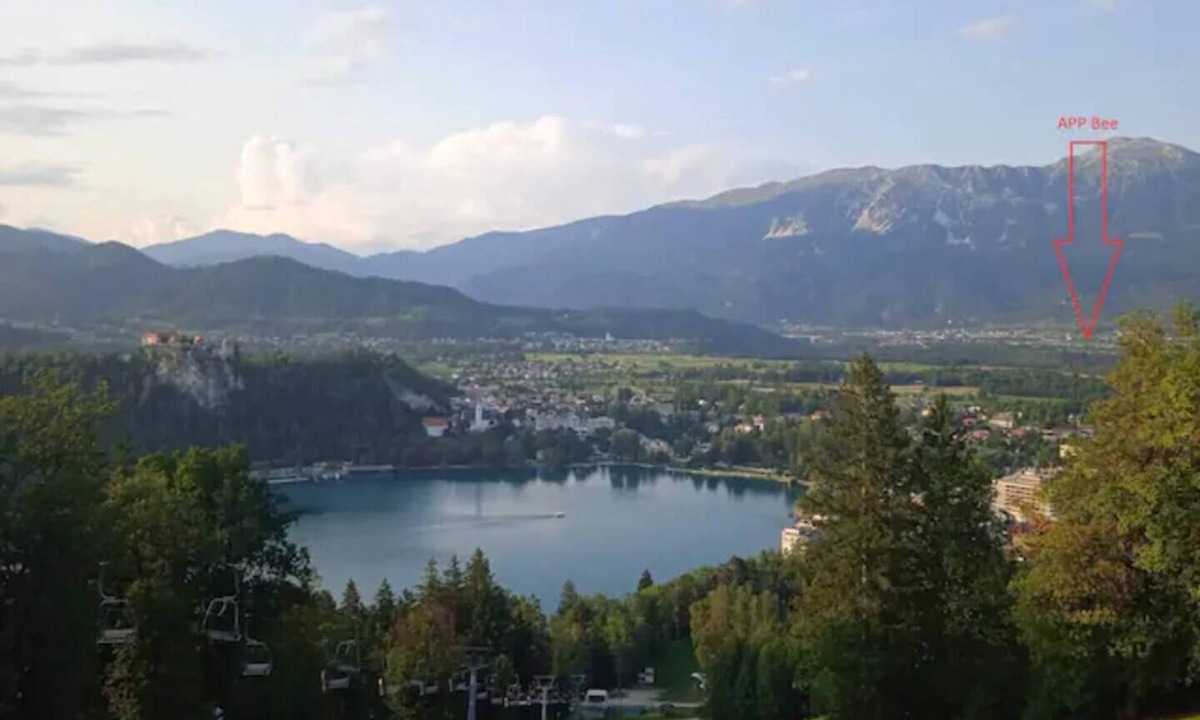 Bee Bled | Zirovnica