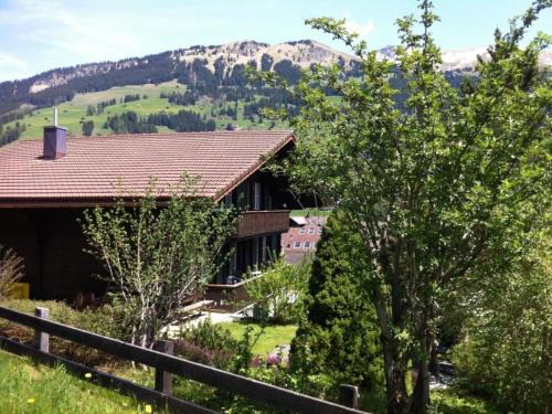 Chriba | Lenk
