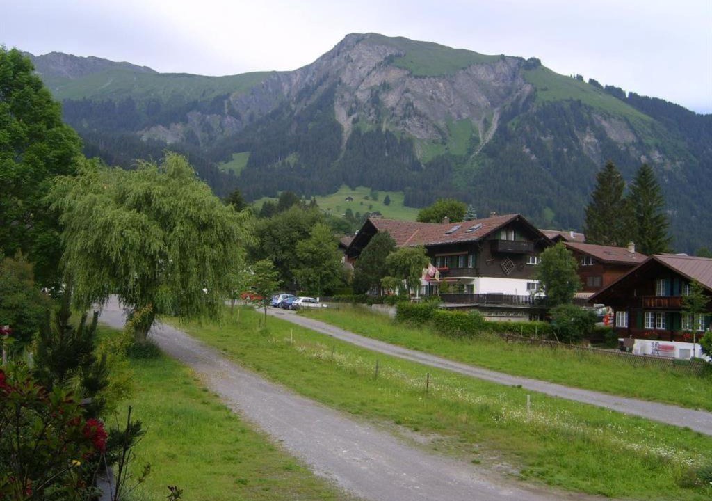 Däpp | Lenk