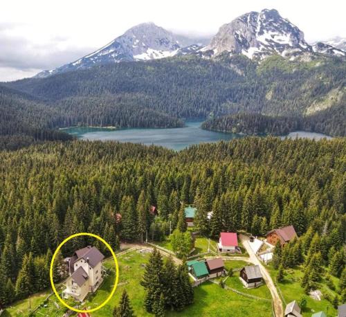 Durmitor | Pitomine