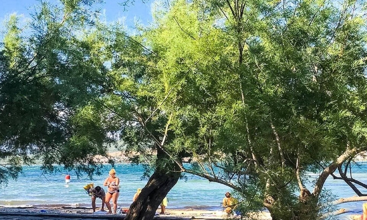 Robi Meters The Beach Karin Zadar Riviera Croatia | Donji Karin