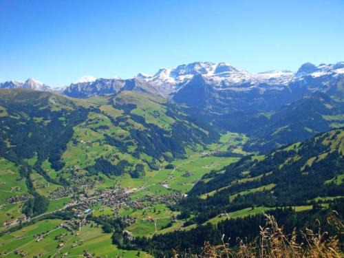 Wildbach | Lenk
