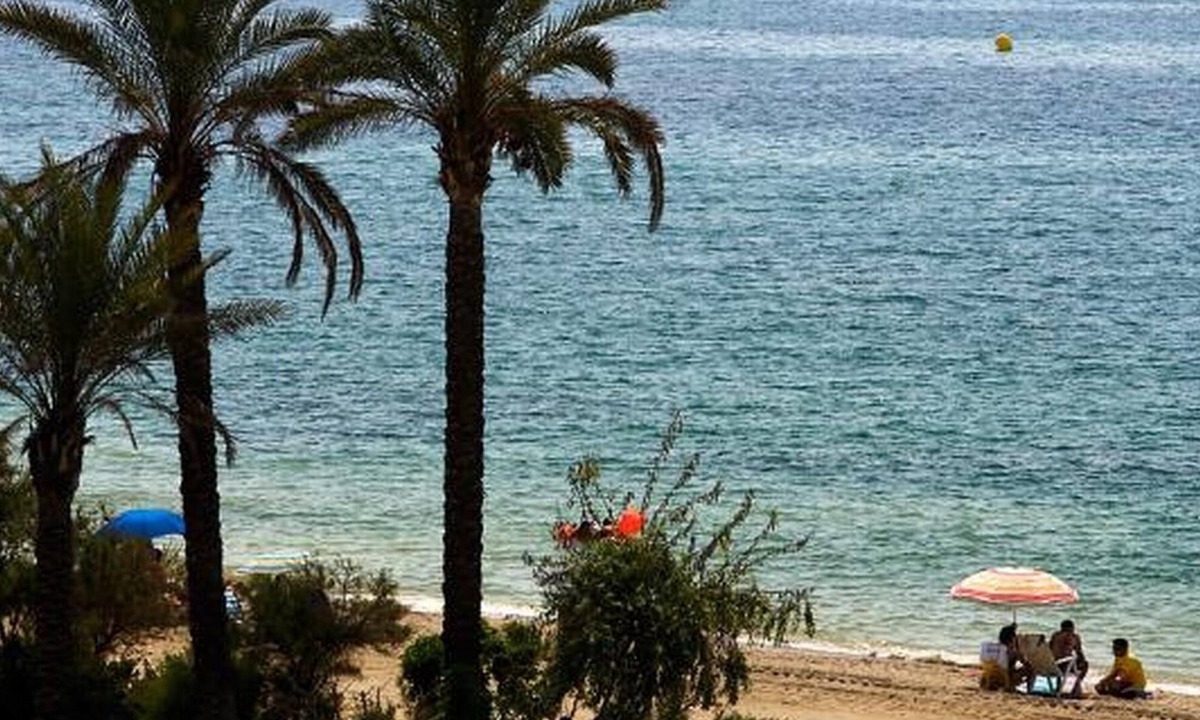 Ap Costas Els Pins Platja | Vilafortuny