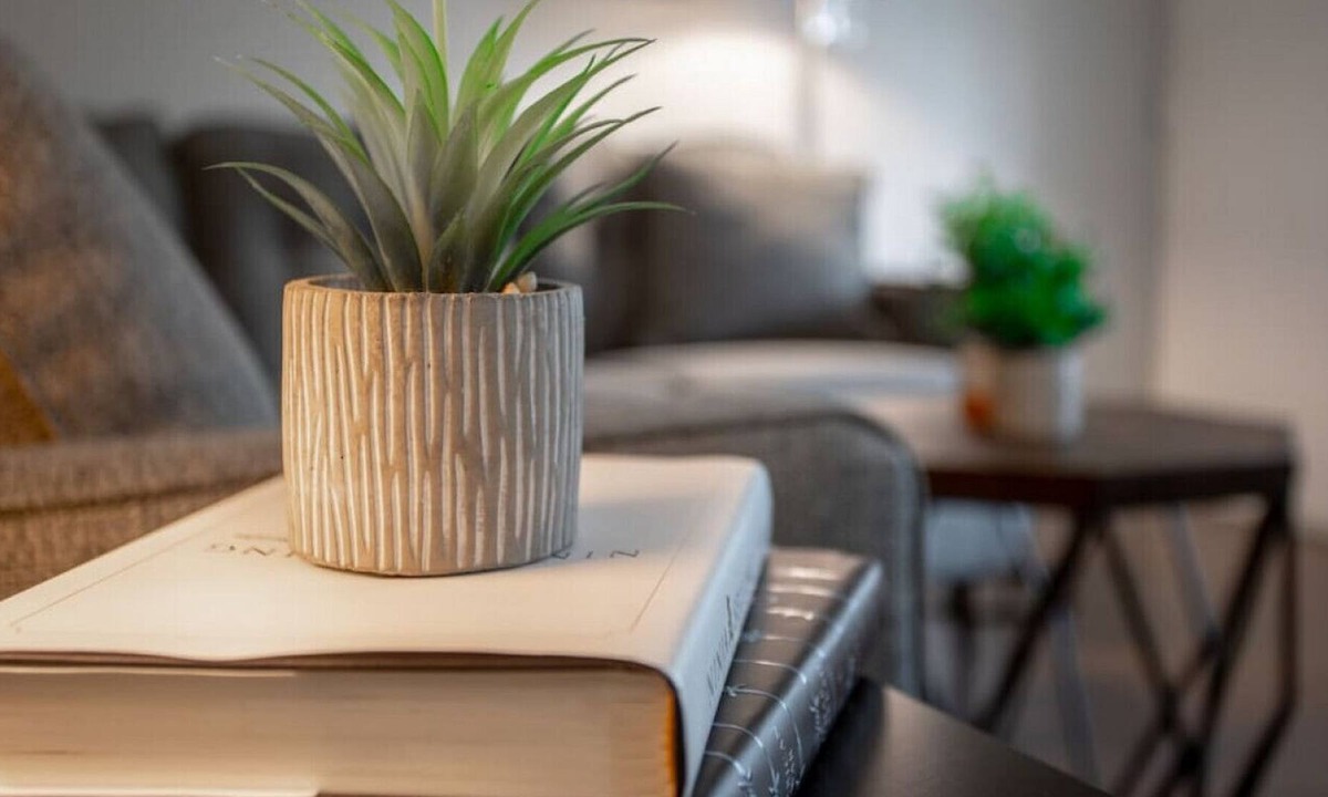 Tampa | Swann Estates