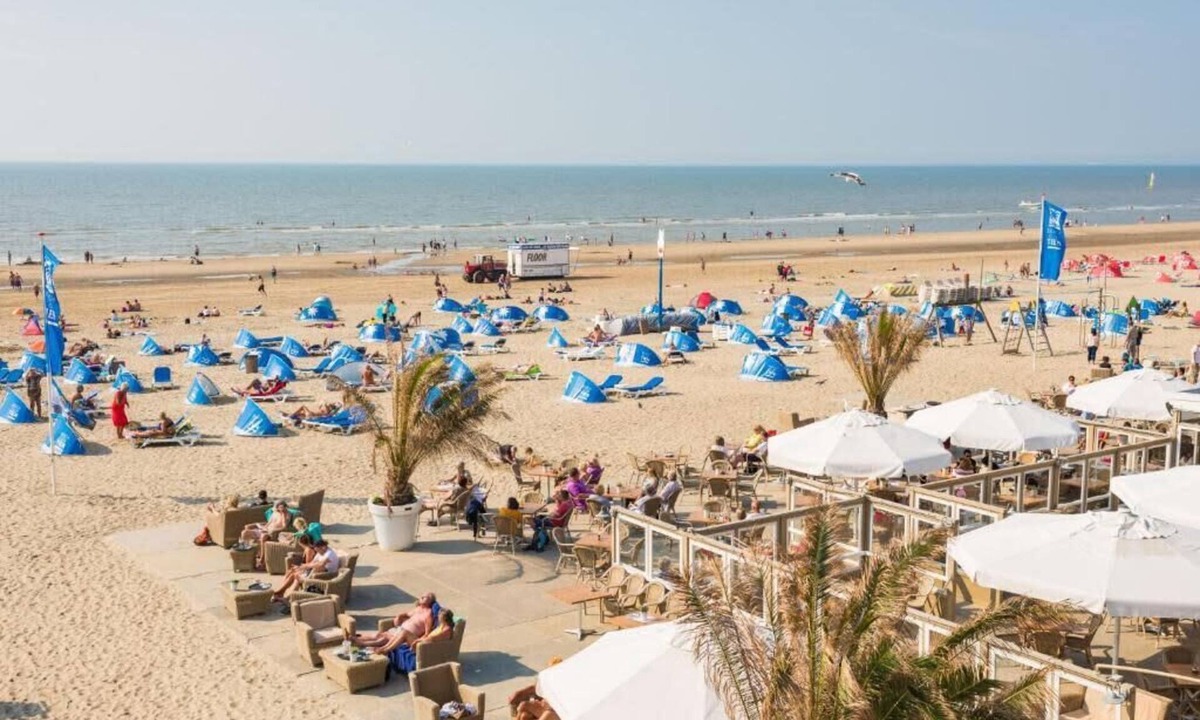 Beach Dunes | Zandvoort