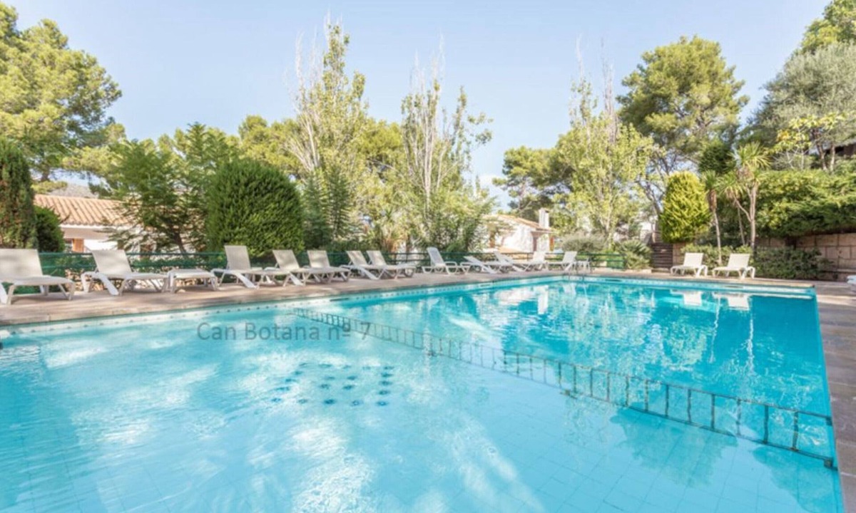 Botana Cala Sant Vicente | Cala San Vicente