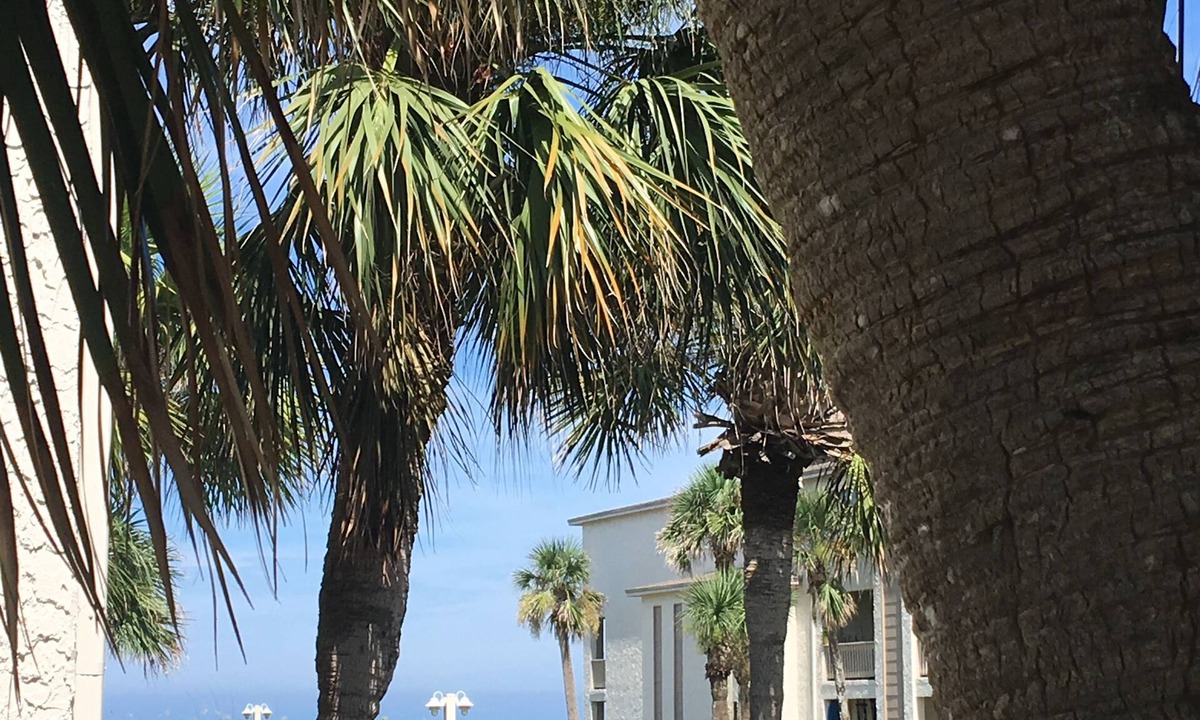Tradewinds | Crescent Beach