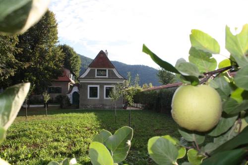 Bioweingut Schmidl | Durnstein