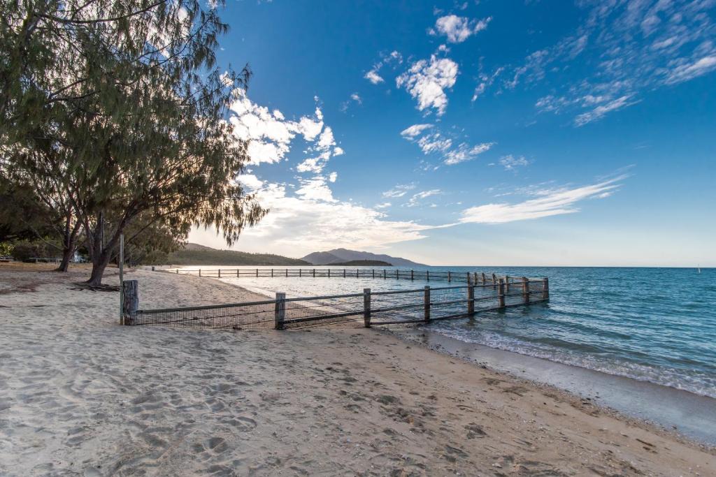 Birdsong Dingo Beach | Dingo Beach