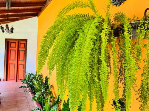 Breeze Of Paradise | Nugegoda