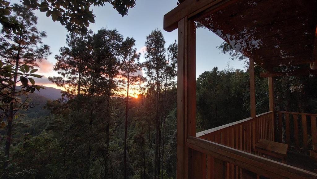 Cabaña En El Bosque De San José Del Pacífico | San Jose del Pacifico